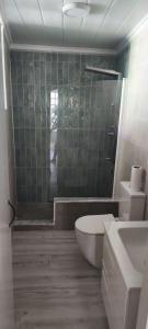 a bathroom with a toilet and a shower and a sink at O casal in Cambados