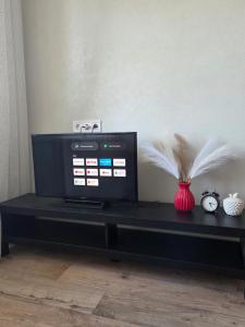 a television sitting on a black table with a vase at Lake Breeze Stay in Liepāja