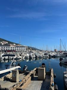 a bunch of boats docked in a marina at Charmant studio île & cap in Bastia