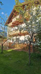 a tree in front of a building with a balcony at Ferienwohnung Rote Wand in Kolsass