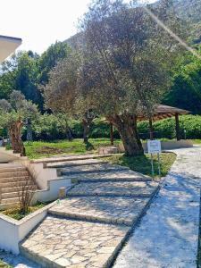 a stone path with a tree and a pavilion at B&B Clav's Home - bebclavshome in Pozzilli