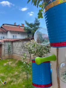 a bird feeder hanging from a tree in a yard at Cozy spacious apartment in Peje +2 photos
