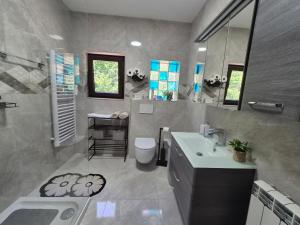 a bathroom with a sink and a toilet at Apartmaji I&E in Sežana +27 photos