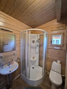 a bathroom with a shower and a toilet and a sink at Giruliu kopa in Melnragė