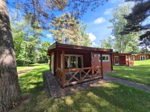 a cabin in the woods with a tree at Giruliu kopa in Melnragė