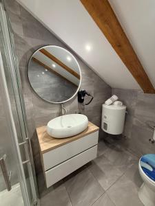 a bathroom with a sink and a mirror at Apartman Lucija 5 in Zubovići +16 photos