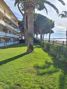 a palm tree in the grass next to a building at PRIMERA LINEA DE PLAYA VILAFORTUNY in Vilafortuny