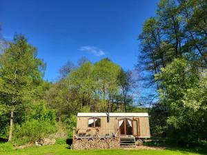 a tiny house in the middle of a forest at Glamping Maringotka77 in Protivec