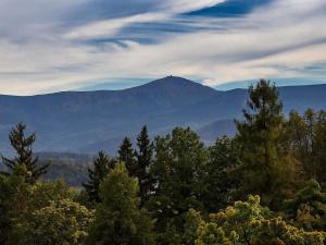 a view of a mountain with trees in the foreground at Mercure Jelenia Góra in Jelenia Góra +276 photos