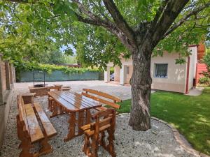 a picnic table and benches under a tree at Napsugár Vendégház Velence in Velence