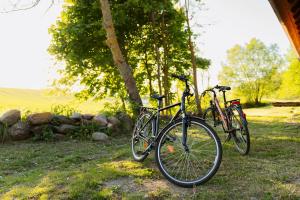 two bikes parked next to each other in the grass at Siedlisko Pod Strzechą in Wólka