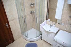 a bathroom with a shower and a toilet and a sink at Vila Zeleno borje in Žabljak