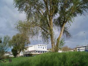 a tree in front of a white building at Mercure Nevers Pont De Loire in Nevers
