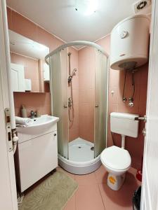 a bathroom with a shower and a toilet and a sink at Banja Koviljača Apartmani Matić in Banja Koviljača +27 photos