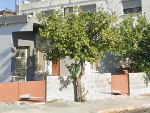 a small tree in front of a building at Xrysanthis Kaouris in Limassol