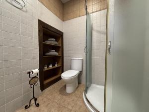 a bathroom with a toilet and a shower at A Casita do Ferreiro in Sober +14 photos