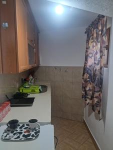 a kitchen with a sink and a stove top oven at Apartman Dar Bošković Klasik in Danilovgrad
