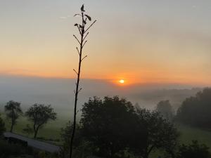 a misty sunrise with a tree in the foreground at Chata Johanka & Sauna in Jevíčko