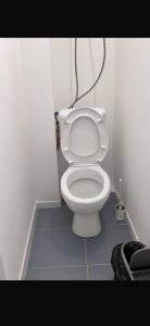 a bathroom with a white toilet in a room at Квартира у озера in Priozersk