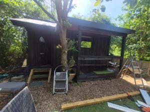 a cabin in the woods with a tree at Froglets island cabin in Bexley
