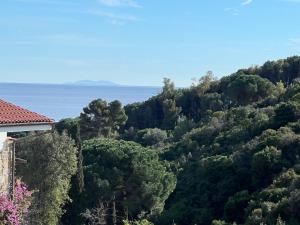 a view of a hill with the ocean in the background at Appartamento Marisa2 a soli 200mt dal mare e vista mare in Fetovaia