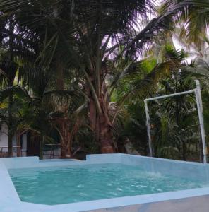a pool with palm trees in the background at Limra Farm House in Pollāchi