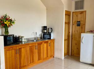 a kitchen with a counter with a sink and a refrigerator at Hotel Costa del Sol in Puerto Limón