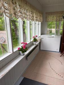 a room with windows with potted plants on the windowsill at Tamminiemi in Luodonmaa