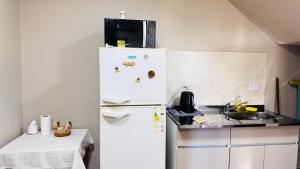 a kitchen with a white refrigerator and a sink at SomosRio II Apart in La Cruz +20 photos
