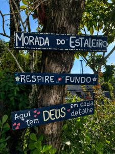 two street signs on a tree in front of a tree at Morada do Estaleiro in Balneário Camboriú