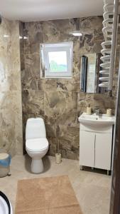 a bathroom with a toilet and a sink and a window at ЛІДІЯ in Yasinya +26 photos