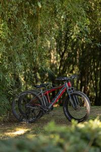 a bike parked on the ground next to a tree at Pousada Cachoeira da Barra in Cunha
