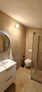 a bathroom with a sink and a toilet and a mirror at Casa Evelina in Čepić +43 photos