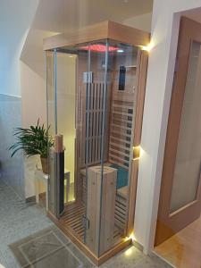 a glass shower in a room with a plant at Haus Weyregg - Pension in Weyregg +19 photos