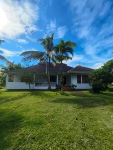 a house with palm trees in the yard at Walkerz Inn in Panglao Island