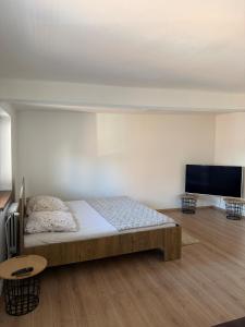 a bedroom with a bed and a flat screen tv at Stodolni centre LOFT in Slezská Ostrava