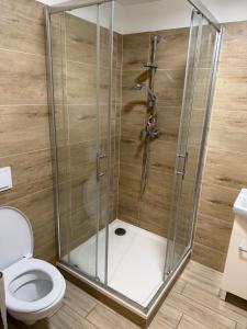 a shower stall with a toilet in a bathroom at Stodolni centre LOFT in Slezská Ostrava