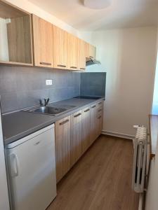 a kitchen with wooden cabinets and a sink at Stodolni centre LOFT in Slezská Ostrava
