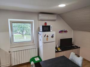 a kitchen with a white refrigerator and a window at DAI Apartment in Maribor