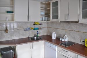 Kuchyň nebo kuchyňský kout v ubytování Guesthouse Leiputrija