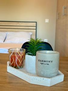 a table with two pots and a potted plant on it at Regium Studio in Nikiana