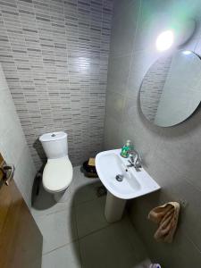 a bathroom with a toilet and a sink and a mirror at Batroun sunset guesthouse in Batroûn +18 photos