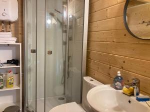 a bathroom with a shower and a sink and a toilet at Tiny House Seeblick in Casel