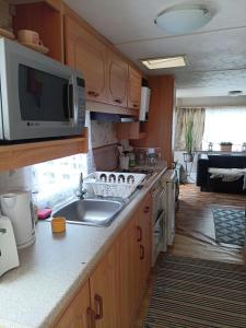 a kitchen with a sink and a microwave at Chatka in Nasutów