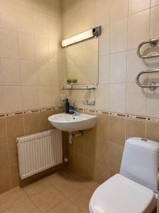 a bathroom with a toilet and a sink and a mirror at Annabella in Riga +17 photos