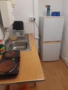 a kitchen counter with a sink and a refrigerator at Vincente's in Chatham