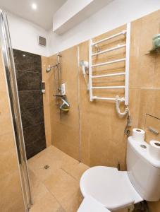a bathroom with a shower and a toilet and a sink at Apartament Okuninka DINA20 in Okuninka +44 photos
