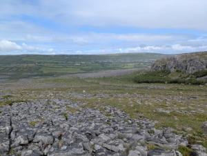 a large field of rocks on a hill at Stonehaven B&B in Ennis