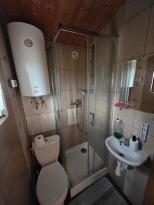 a bathroom with a shower and a toilet and a sink at Hacjenda in Redło +19 photos