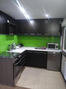 a kitchen with black cabinets and green walls at Imprezowy domek in Żeleźnikowa Wielka